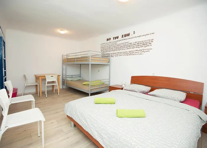 Guest house Alibi B11