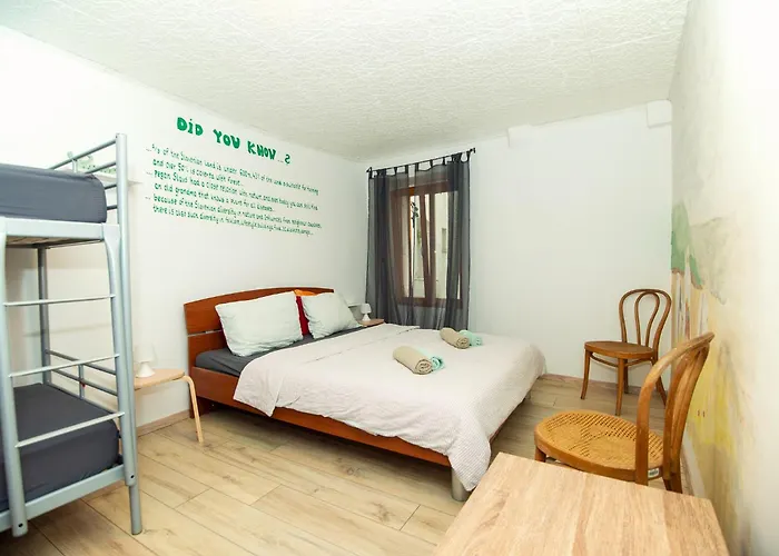 Guest house Alibi B11 *